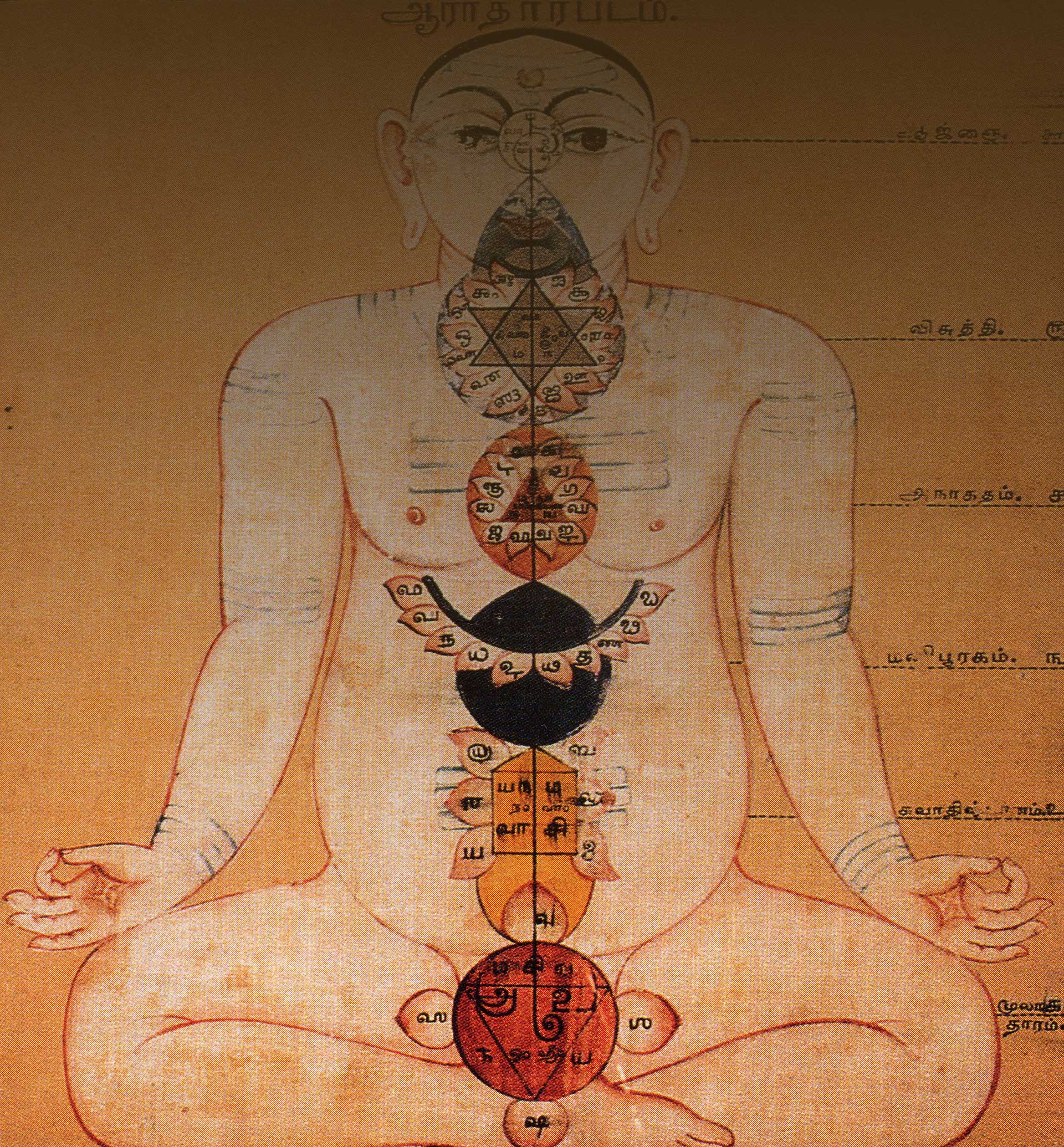 Title Image